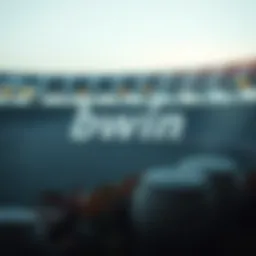 bwin 보너스의 이해: 전략적 활용과 주요 고려사항 Introduction