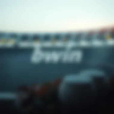 bwin 보너스의 이해: 전략적 활용과 주요 고려사항 Introduction bwin 보너스의 이해: 전략적 활용과 주요 고려사항 Introduction