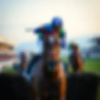 Cheltenham Betting Odds: A Comprehensive Guide Summary
