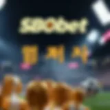 SBObet 북메이커 보너스의 모든 것 Introduction